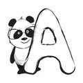 Panda bear cute animal english alphabet letter A with cartoon baby illustrations
